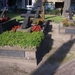 Fietsen in Duitsland 029