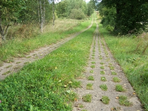 Fietsen in Duitsland 060