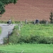 Fietsen in Duitsland 067