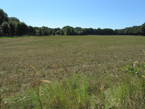 Lommel