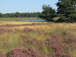 Prachtige natuur