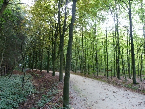 38-Domein van 100hectare groot