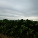 2012-09-23 Berg 008