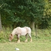 2012-09-23 Berg 009
