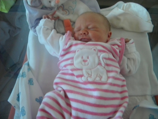 Mitte