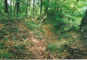 Scannen0094
