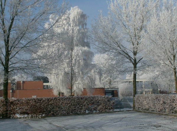 winterzicht op de dullaert.