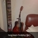 gitaar, washburn.