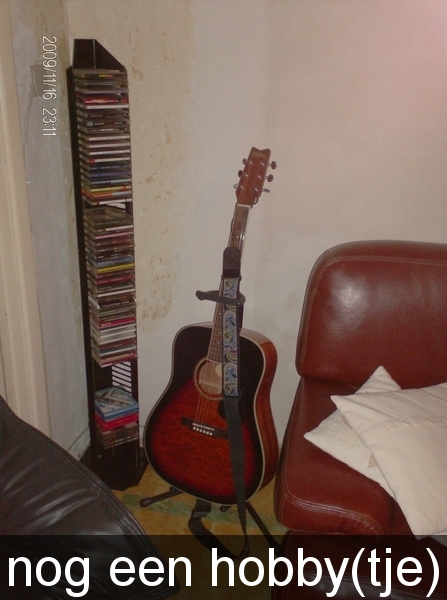 gitaar, washburn.