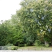 20120925.GentMSK 003