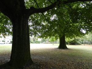 20120923.Heusden 006