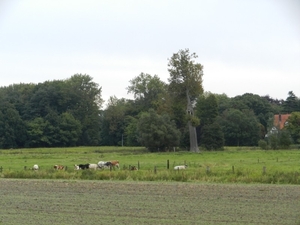 20120923.Heusden 031(1)