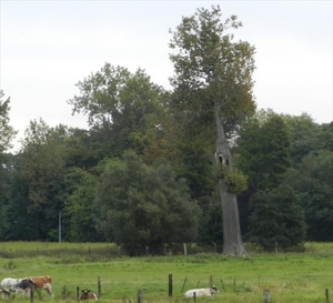 20120923.Heusden 031(2)