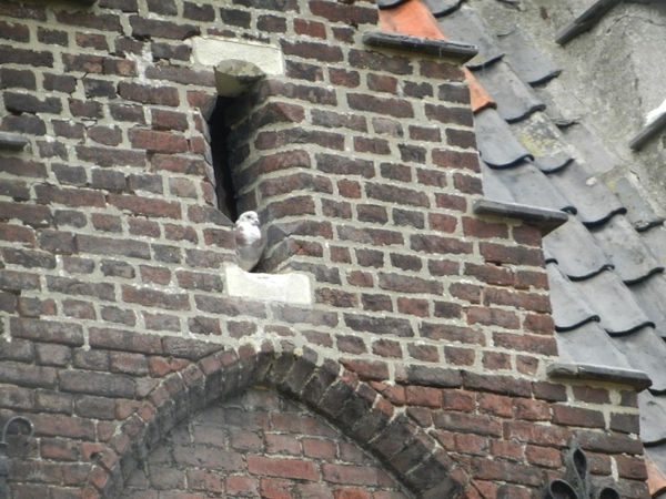 20120923.Heusden 068