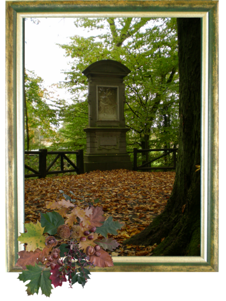 Rozenkrans in de herfst.