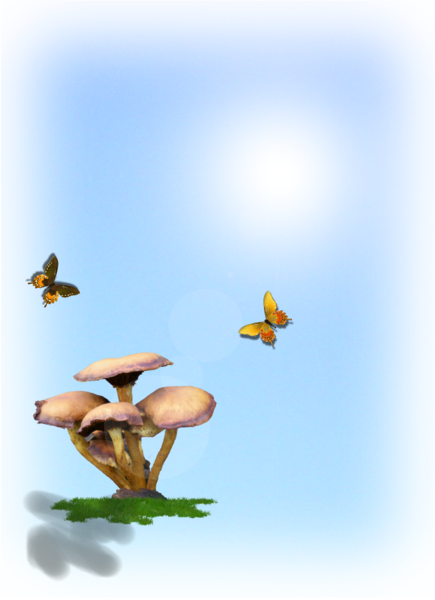 natuur en zijn schoonheid.