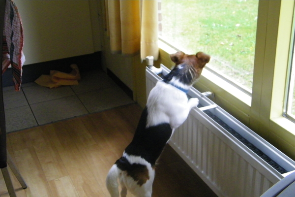 ja,ja, daar is mijn vriendje weer!