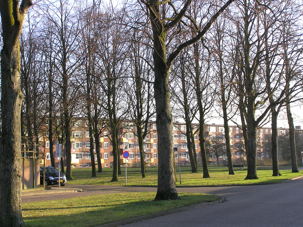 december2008 150