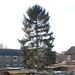 3bf96616_1089846