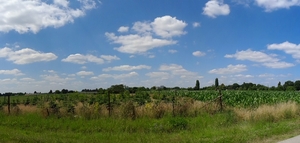 PANO_20140702_133555