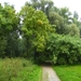 BILD1250