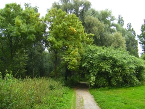 BILD1250