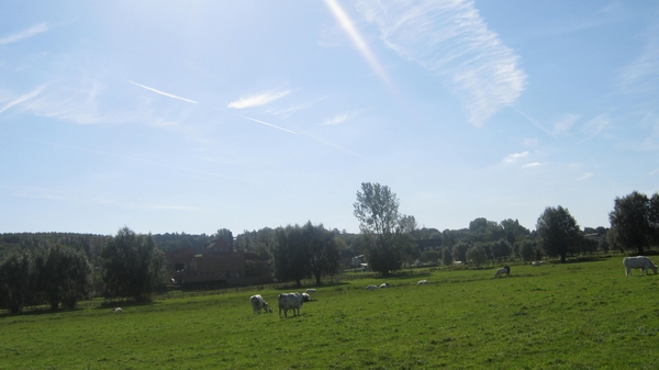 Fietsen Westuit Meerbeke 2012 134