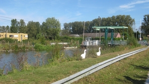 Fietsen Westuit Meerbeke 2012 140