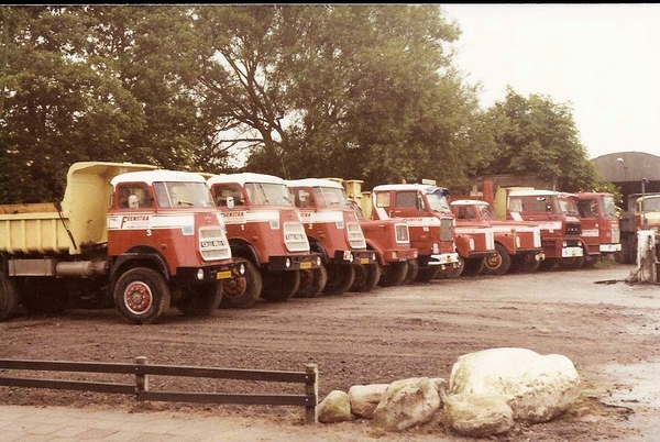 Line Up