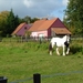 2012-09-29 Melle 023