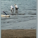 Ceremonie aan de zee