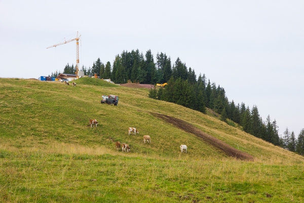 _MG_3263