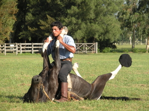 Gaucho Party op de pampa