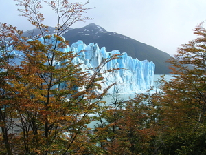 Perito Moreno Lago Argentino Park Los Glaciares