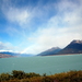 Calafate, Lago Argentino Park Los Glaciares