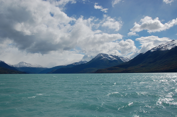 Calafate, Lago Argentino Park Los Glaciares