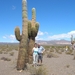 Los Cardones, park met enorme cactussen