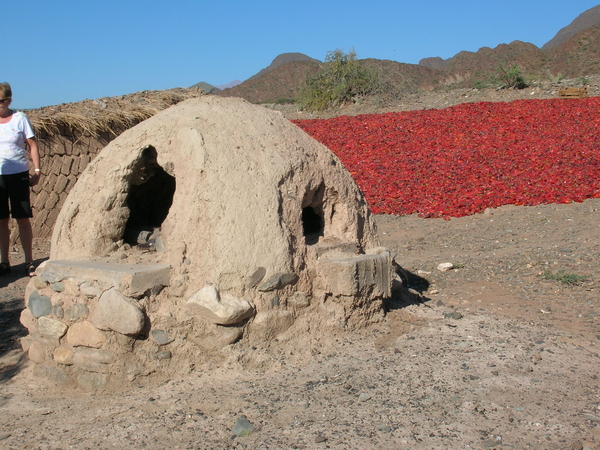 Calchaquivallei, paprika's drogen achter bakoven