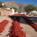 Calchaquivallei, paprika's drogen in de zon