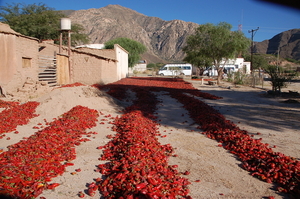 Calchaquivallei, paprika's drogen in de zon