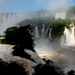 Iguazu Watervallen