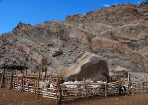 Quebrada de las Conchas, geitenkraal