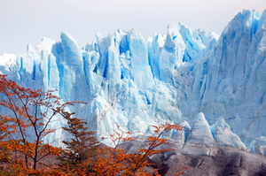 Perito Moreno Lago Argentino Park Los Glaciares