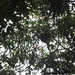 costa rica 2012 022