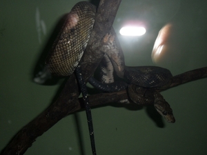 costa rica 2012 038