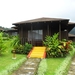 costa rica 2012 047