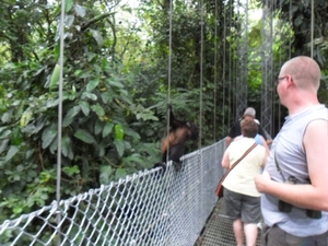 costa rica 2012 052