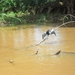 costa rica 2012 064