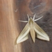 costa rica 2012 066
