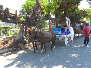 costa rica 2012 096